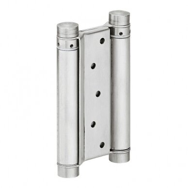 Double action spring hinges
