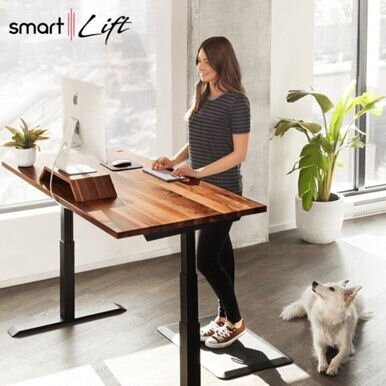 Electric standing desk dual motor