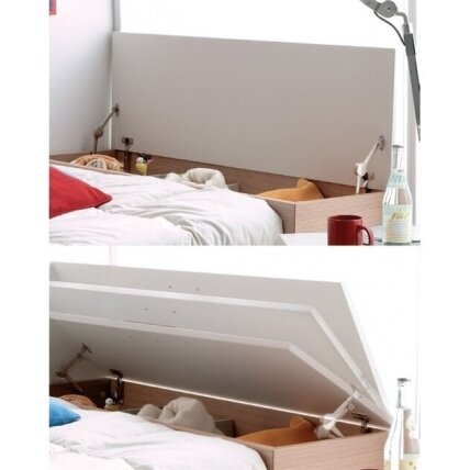 Mechanical lift up or drop down mechanism 1 Mechanical lift up or drop down mechanism 1