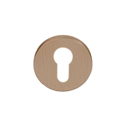 PZ escutcheons PBIY53